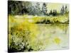 Pond 2005-Pol Ledent-Stretched Canvas
