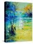 Pond 454190-Pol Ledent-Stretched Canvas