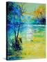 Pond 454190-Pol Ledent-Stretched Canvas