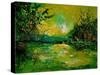 Pond 5431-Pol Ledent-Stretched Canvas