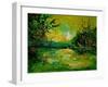 Pond 5431-Pol Ledent-Framed Art Print