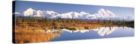 Pond, Alaska Range, Denali National Park, Alaska, USA-null-Stretched Canvas