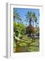 Pond and Palm Tree-Matthew Williams-Ellis-Framed Photographic Print