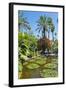 Pond and Palm Tree-Matthew Williams-Ellis-Framed Photographic Print