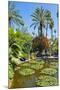 Pond and Palm Tree-Matthew Williams-Ellis-Mounted Photographic Print