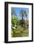 Pond and Palm Tree-Matthew Williams-Ellis-Framed Photographic Print