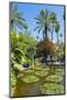 Pond and Palm Tree-Matthew Williams-Ellis-Mounted Photographic Print