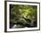 Pond and Walkway in Oyama Jinja Shrine, Kanazawa, Ishikawa Prefecture, Japan, Asia-Christian Kober-Framed Photographic Print