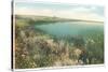 Pond and Wildflowers, Nantucket, Massachusetts-null-Stretched Canvas