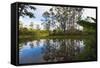 Pond, Andasibe-Mantadia National Park, Madagascar, Africa-G&M Therin-Weise-Framed Stretched Canvas