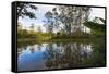 Pond, Andasibe-Mantadia National Park, Madagascar, Africa-G&M Therin-Weise-Framed Stretched Canvas