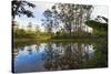 Pond, Andasibe-Mantadia National Park, Madagascar, Africa-G&M Therin-Weise-Stretched Canvas