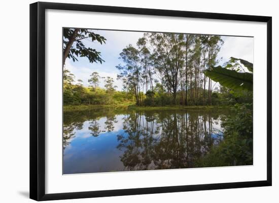 Pond, Andasibe-Mantadia National Park, Madagascar, Africa-G&M Therin-Weise-Framed Photographic Print