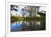 Pond, Andasibe-Mantadia National Park, Madagascar, Africa-G&M Therin-Weise-Framed Photographic Print