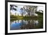 Pond, Andasibe-Mantadia National Park, Madagascar, Africa-G&M Therin-Weise-Framed Photographic Print