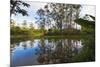 Pond, Andasibe-Mantadia National Park, Madagascar, Africa-G&M Therin-Weise-Mounted Photographic Print