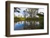 Pond, Andasibe-Mantadia National Park, Madagascar, Africa-G&M Therin-Weise-Framed Photographic Print