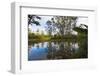 Pond, Andasibe-Mantadia National Park, Madagascar, Africa-G&M Therin-Weise-Framed Photographic Print