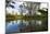 Pond, Andasibe-Mantadia National Park, Madagascar, Africa-G&M Therin-Weise-Mounted Photographic Print