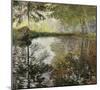 Pond at Montgeron-Claude Monet-Mounted Premium Giclee Print