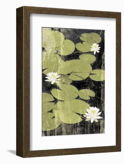 Pond Blossoms-Erin Clark-Framed Art Print