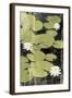 Pond Blossoms-Erin Clark-Framed Art Print