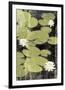 Pond Blossoms-Erin Clark-Framed Giclee Print