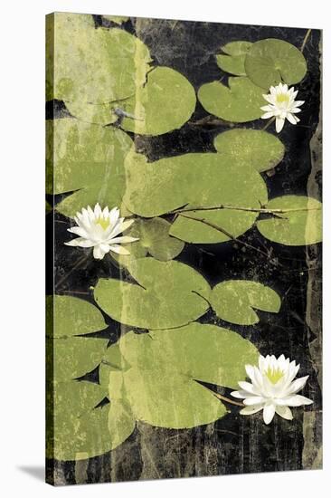 Pond Blossoms-Erin Clark-Stretched Canvas