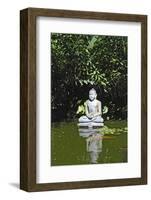 Pond Buddha 02-genenphotos-Framed Photographic Print