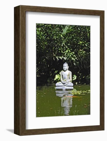 Pond Buddha 02-genenphotos-Framed Photographic Print