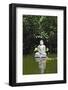 Pond Buddha 02-genenphotos-Framed Photographic Print