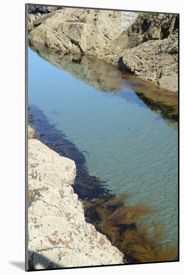 Pond Created in Between Rocks-Tim Kahane-Mounted Photographic Print