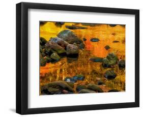 Pond, Davis, West Virginia, USA-Jay O'brien-Framed Photographic Print