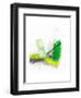 Pond Fireworks-Jaime Derringer-Framed Giclee Print