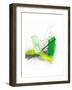 Pond Fireworks-Jaime Derringer-Framed Giclee Print