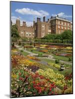 Pond Garden in the Palace Gardens, Hampton Court, London, England, United Kingdom, Europe-Harding Robert-Mounted Photographic Print