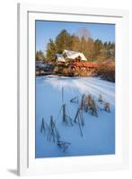 Pond Grasses-Michael Blanchette-Framed Photographic Print