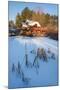 Pond Grasses-Michael Blanchette-Mounted Photographic Print