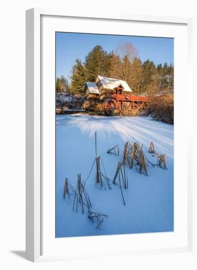 Pond Grasses-Michael Blanchette-Framed Photographic Print