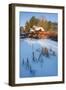 Pond Grasses-Michael Blanchette-Framed Photographic Print