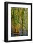 Pond Grasses-Steve Gadomski-Framed Photographic Print