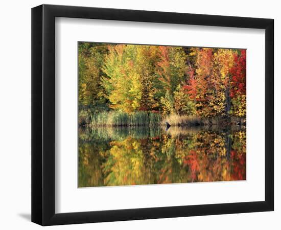 Pond, Green Mountain National Forest, Vermont, USA-Charles Gurche-Framed Photographic Print