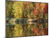 Pond, Green Mountain National Forest, Vermont, USA-Charles Gurche-Mounted Photographic Print