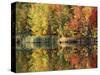 Pond, Green Mountain National Forest, Vermont, USA-Charles Gurche-Stretched Canvas