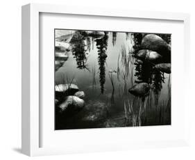 Pond, High Sierra, 1963-Brett Weston-Framed Photographic Print