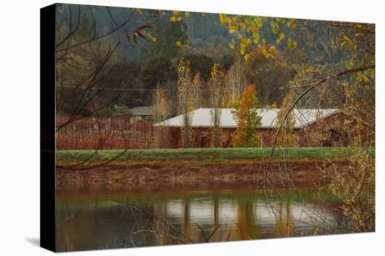 Pond House and Autumn Vineyard, Calistoga Napa Valley-null-Stretched Canvas