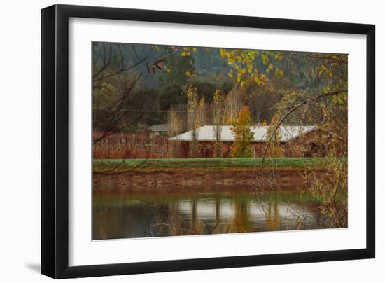 Pond House and Autumn Vineyard, Calistoga Napa Valley-null-Framed Photographic Print