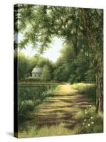 Pond House-Lene Alston Casey-Stretched Canvas
