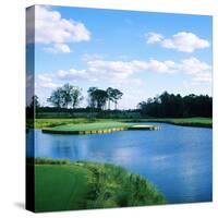 Pond in a Golf Course, Carolina Golf and Country Club, Charlotte, North Carolina, USA-null-Stretched Canvas