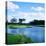Pond in a Golf Course, Carolina Golf and Country Club, Charlotte, North Carolina, USA-null-Stretched Canvas